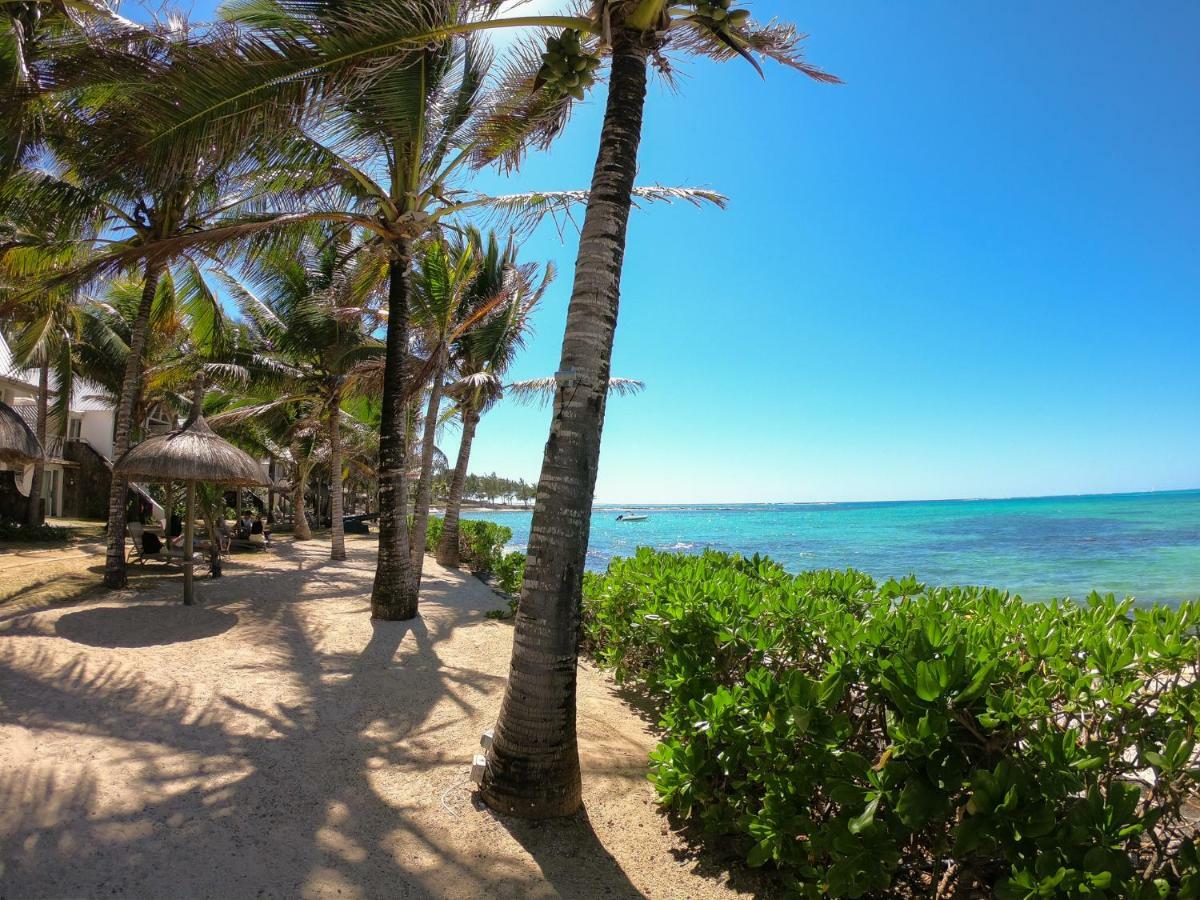 Tropical Attitude (Adults Only) Hotell Trou d'Eau Douce Exteriör bild